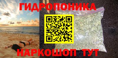 сатива Кунгур