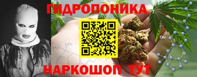сатива Кунгур