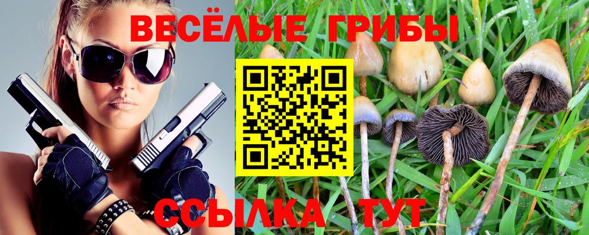 Горячий Ключ  Галлюциногенные грибы Cubensis  Вход с VPN  Галлюциногенные грибы ЛСД 
